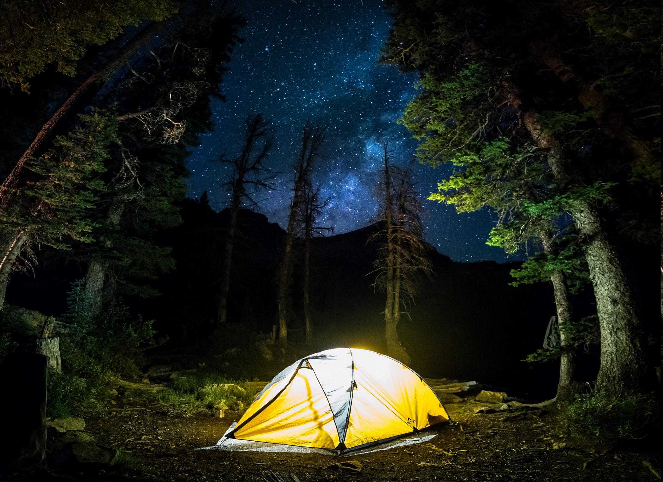 2200x1600 nature, Landscape, Camping, Forest, Starry Night, Milky Way, Trees, Long Exposure, Lights, Shrubs, Blue, Yellow Wallpaper HD / Desktop and Mobile Background