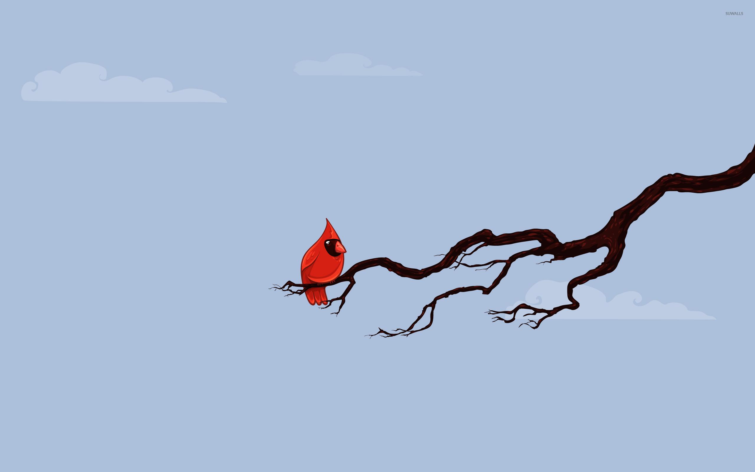 2560x1600 Red bird on a branch wallpaper wallpaper
