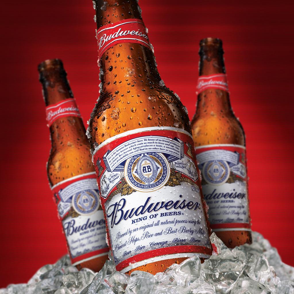 1024x1024 Free download Download Budweiser Logo Wallpaper PelautsCom [1024x1024] for your Desktop, Mobile & Tablet. Explore Free Budweiser Wallpaper Downloads. Betty Boop Wallpaper Free Download, Windows Wallpaper Free Download, Live