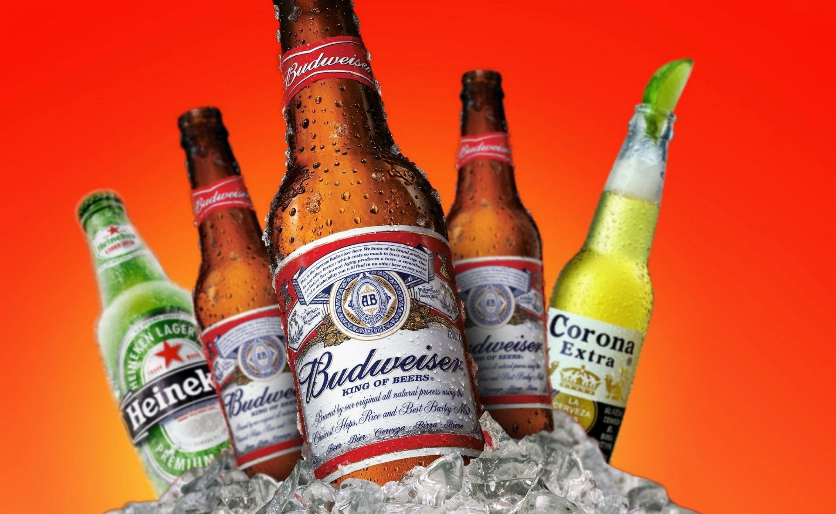 2878x1770 heineken, budweiser, beer Wallpaper, HD Brands 4K Wallpaper, Image, Photo and Background