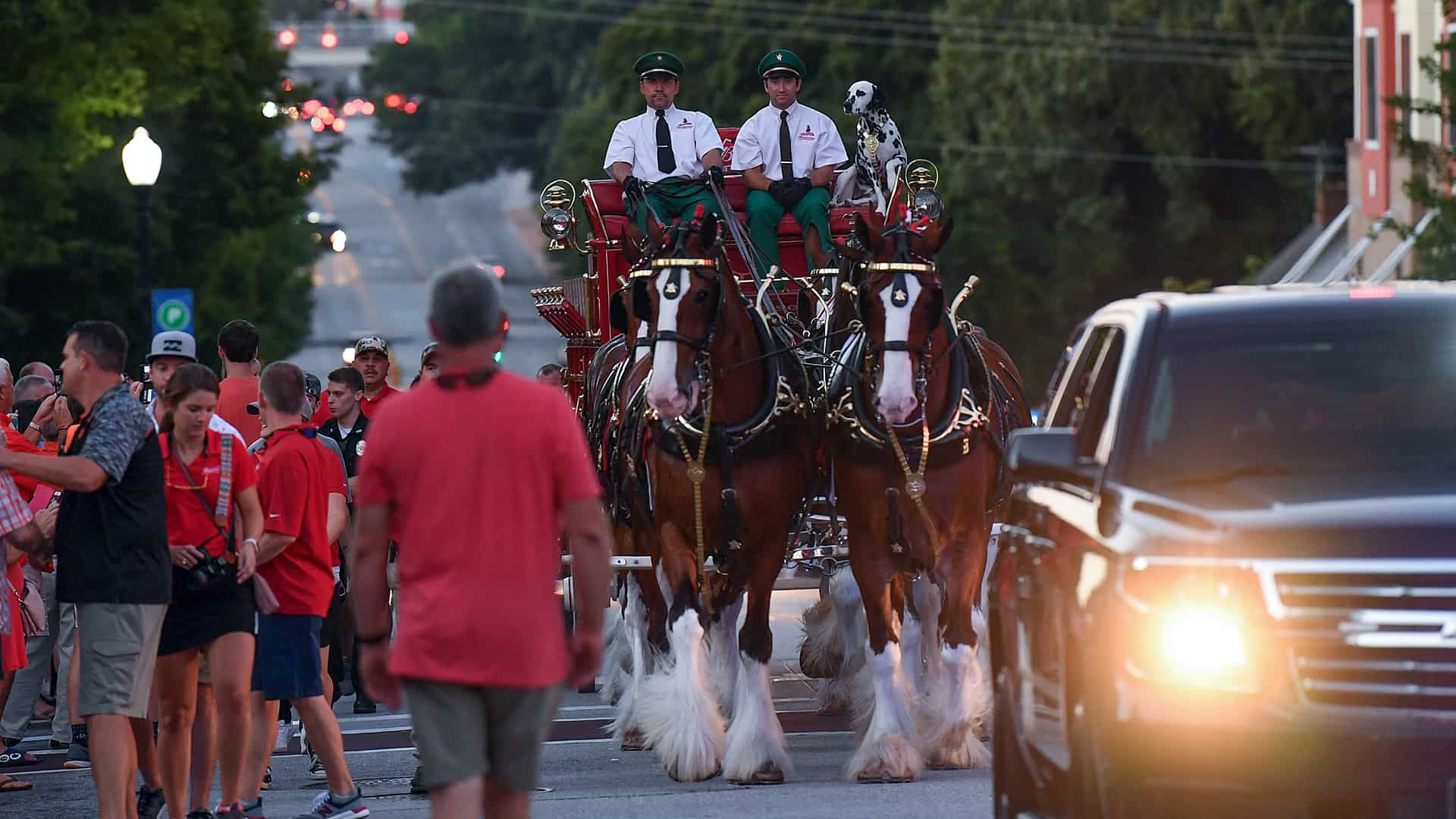 1920x1080 Photos: Budweiser Clydesdales parade through Clemson