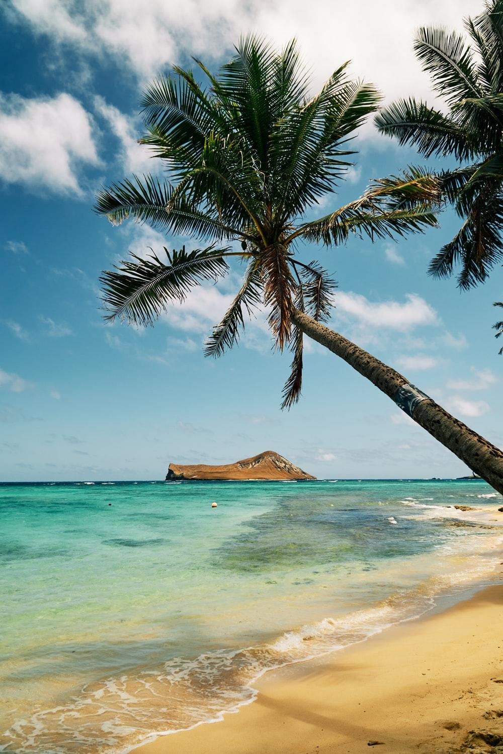 Hawaii Beaches Wallpapers - Top Free Hawaii Beaches Backgrounds