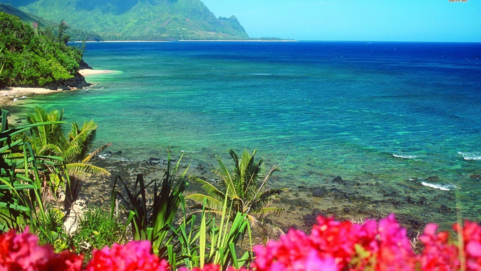 1600x900 Hawaii Beach Wallpaper 1680x1050 56234