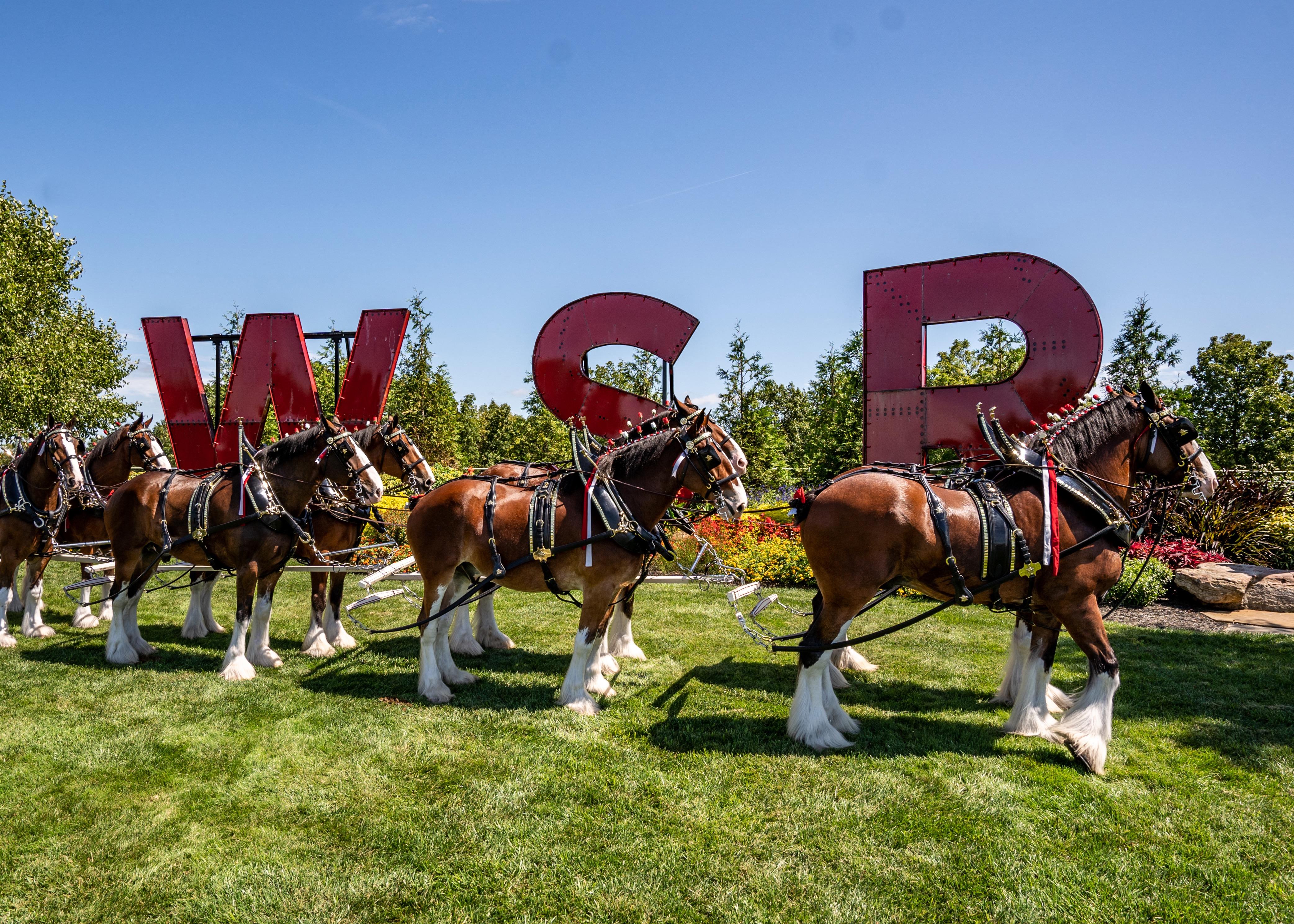 4170x2979 Warm Springs Ranch. Home of the Budweiser Clydesdales