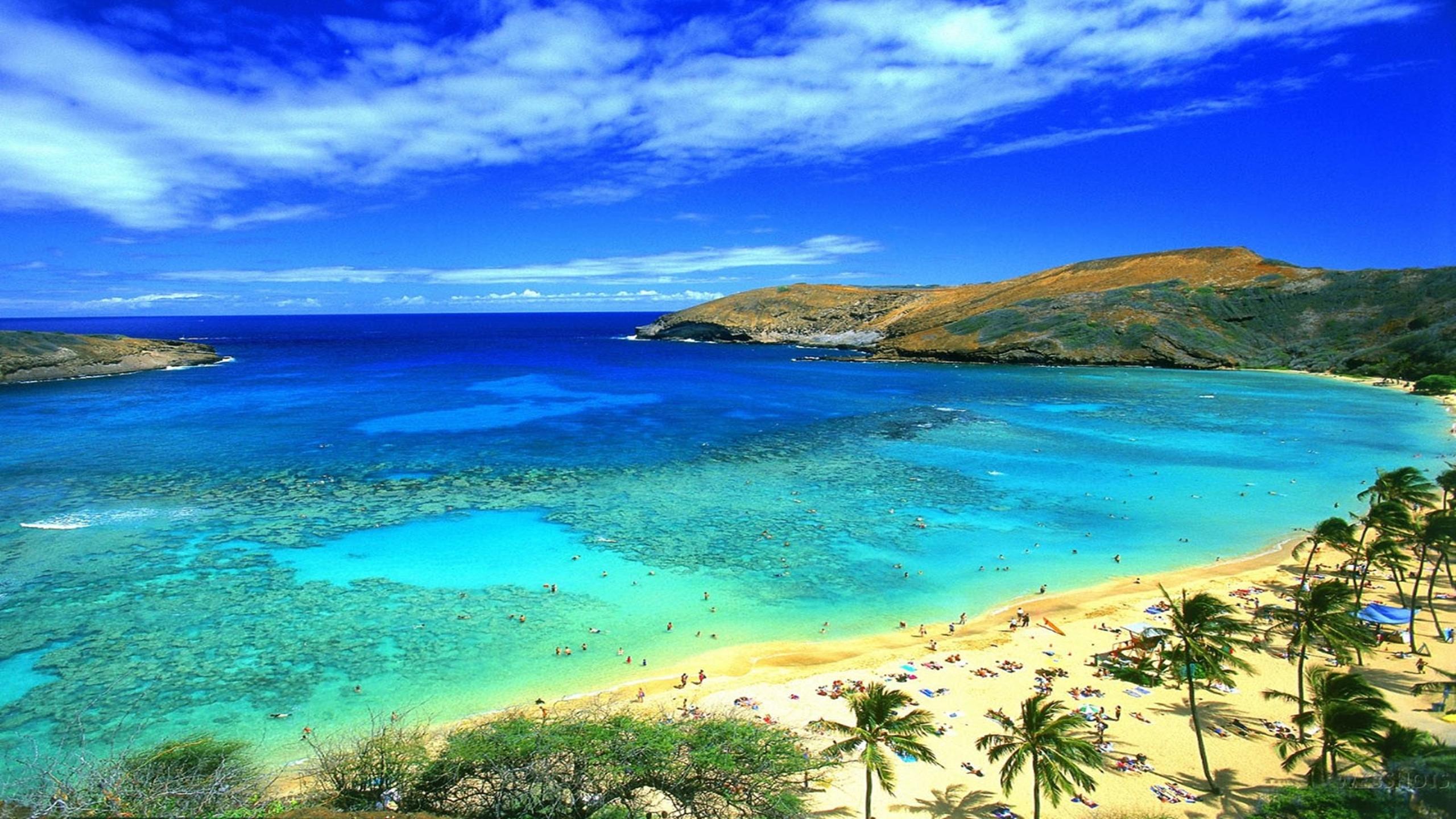 2560x1440 Honolulu Hawaii Beach Wallpaper :