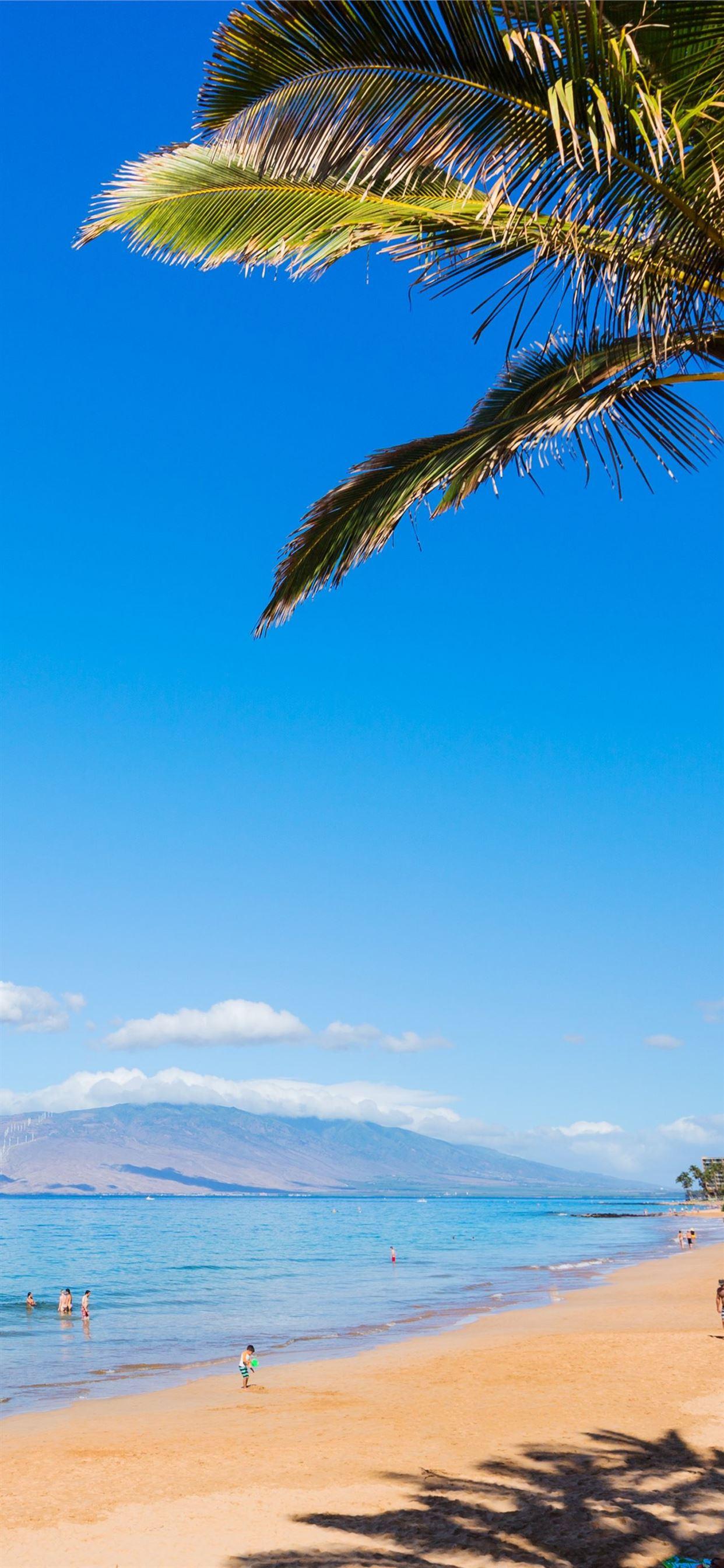 1242x2688 Hawaii Beach HD Tip iPhone Wallpaper Free Download