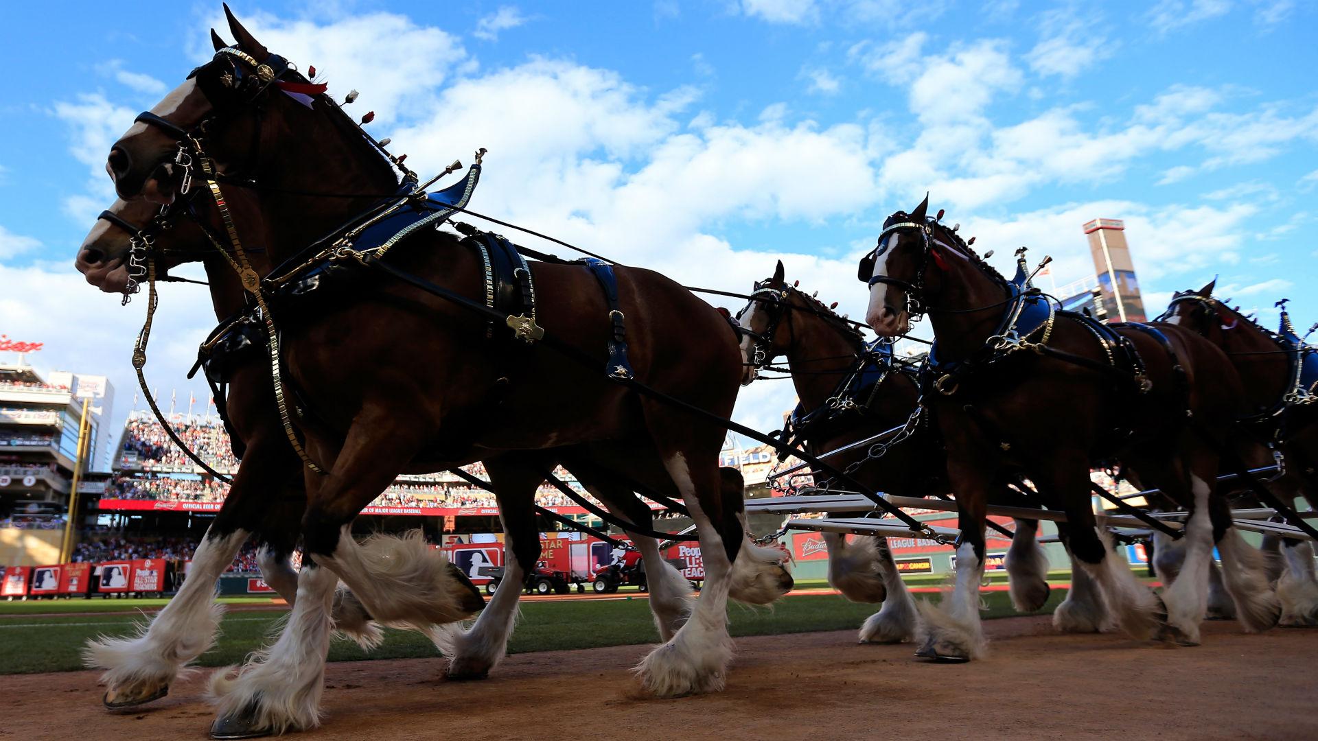 1920x1080 Why you won't see Budweiser, Pepsi, other popular Super Bowl commercials this year