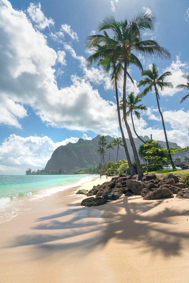 736x1103 마리아 on Twitter. Hawaii photography, Beautiful beaches, Hawaii travel