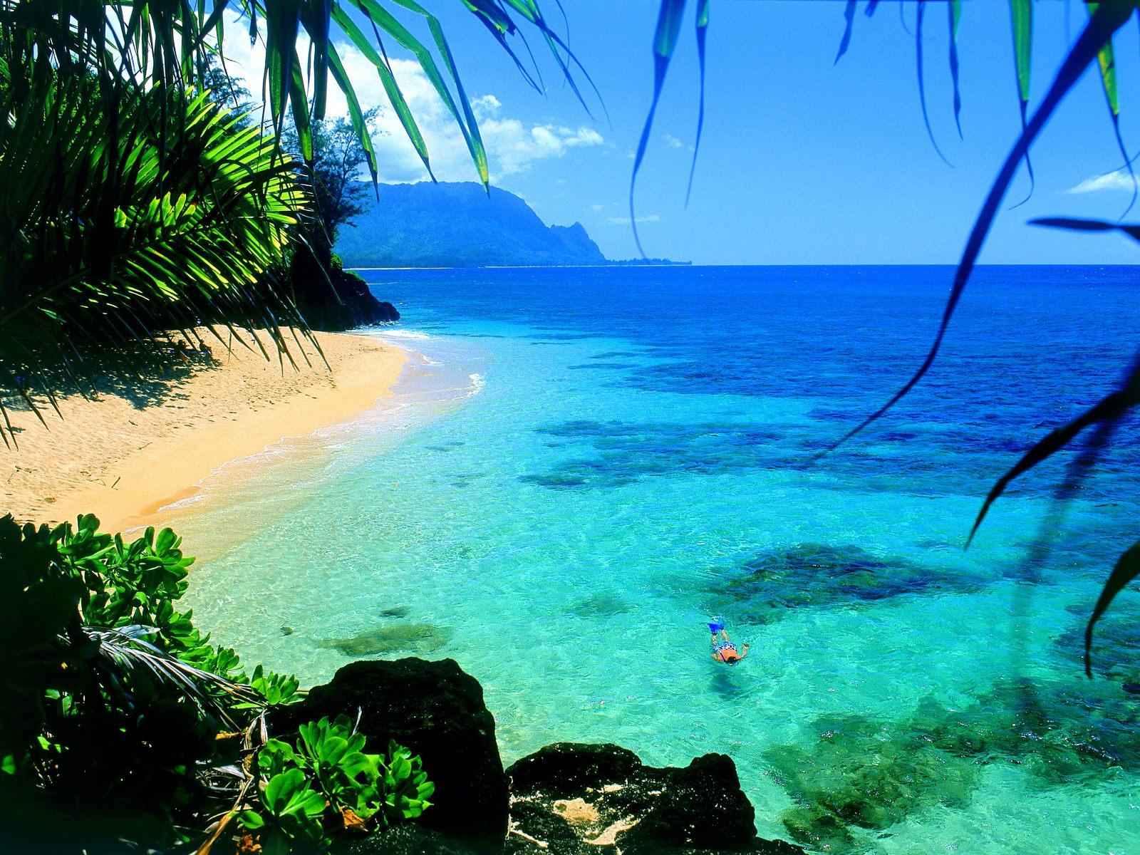 1600x1200 Free download download hawaii beaches wallpaper which is under the beach wallpaper [1600x1200] for your Desktop, Mobile & Tablet. Explore Hawaii Beach Wallpaper. Free Beach Wallpaper, Tropical Beach Wallpaper