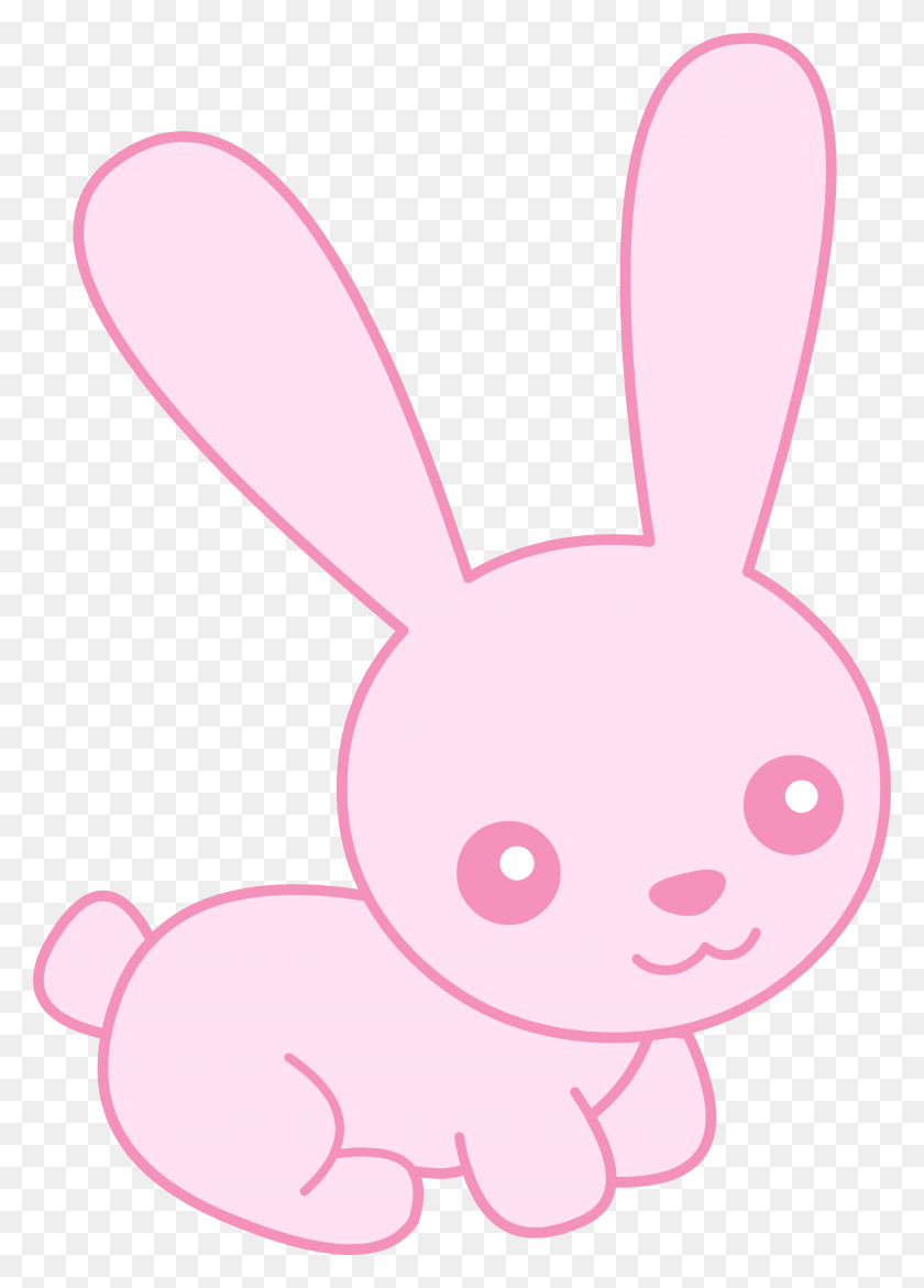 Cute Pink Bunny Wallpapers Top Free Cute Pink Bunny Backgrounds