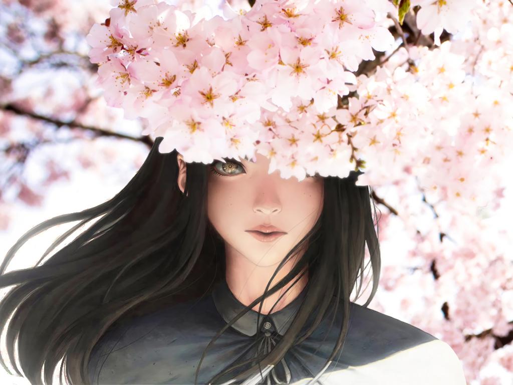 1024x768 Desktop wallpaper anime girl, original, cherry blossom, sakura, HD image, picture, background, e074ac