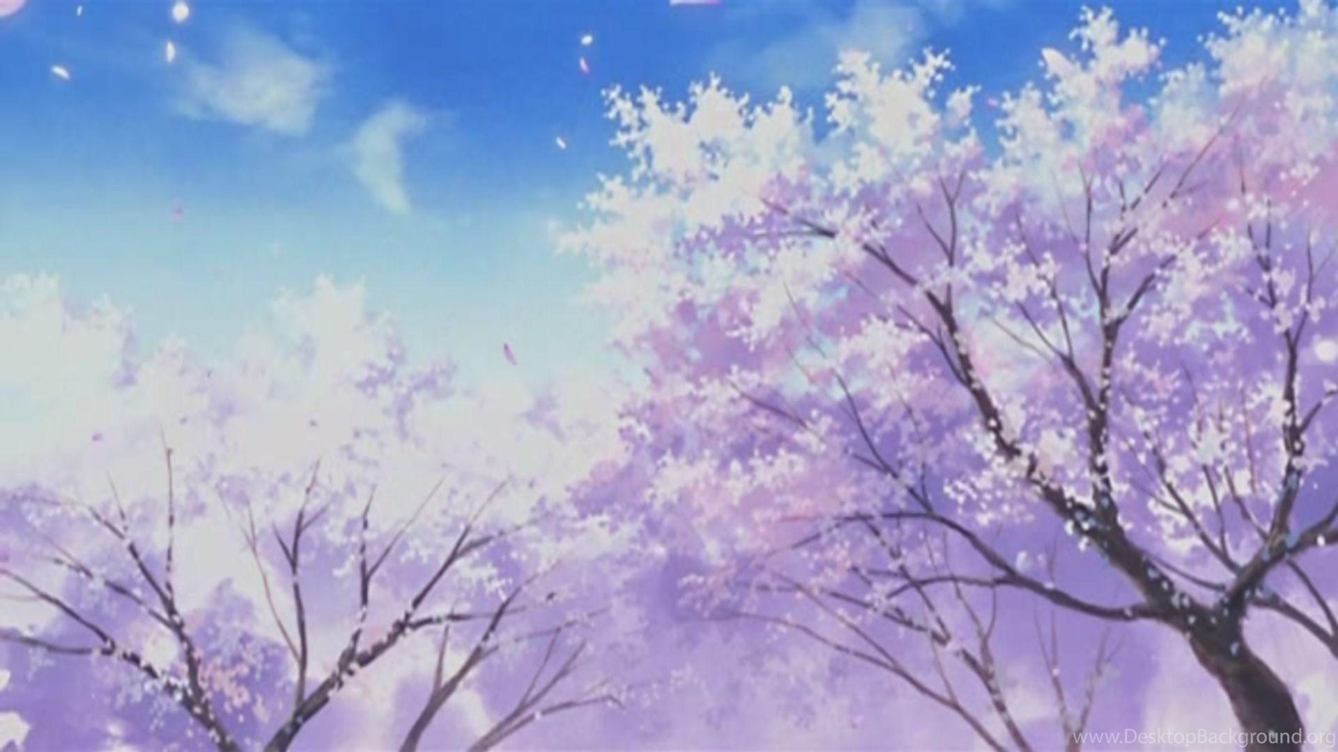 1920x1080 Wallpaper Cherry Blossom Anime Scenery Wallpaper Free Download. Desktop Background