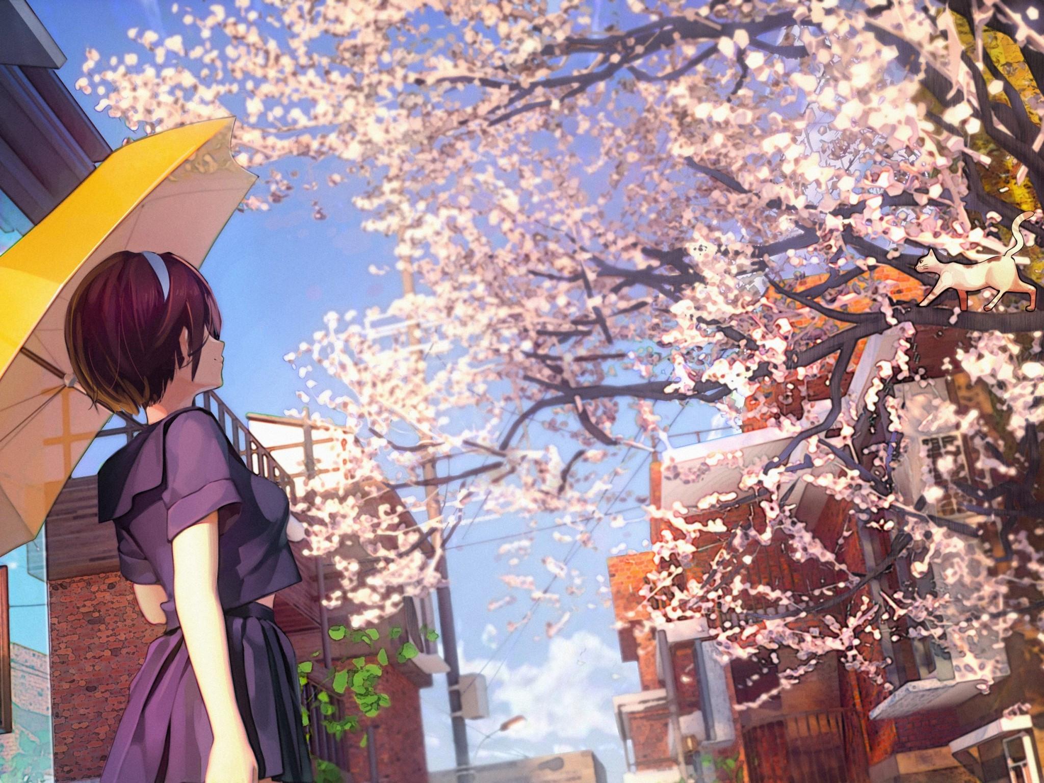 2048x1536 Download 2048x1536 Cherry Blossom, Sakura Petals, Anime School Girl, Spring, Tree Wallpaper for Ainol Novo 9 Spark