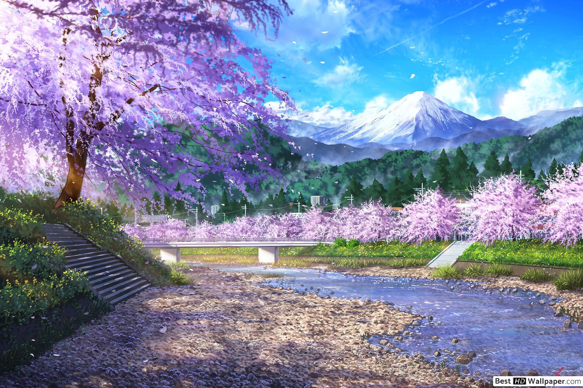 1920x1280 Cherry Blossoms in the Sea HD wallpaper download