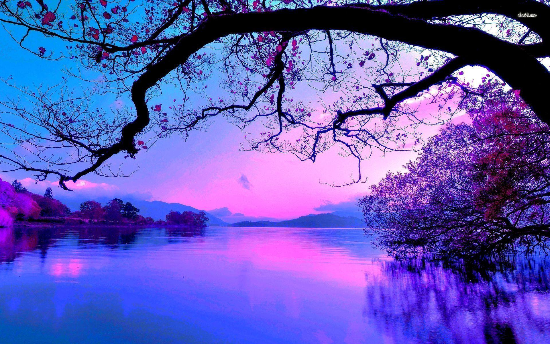 Purple Ocean Sunset Wallpapers - Top Free Purple Ocean Sunset ...