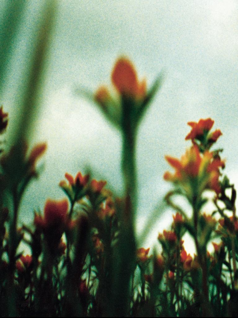 768x1024 Free download David Carson and The Fragile Chris Takakura Design Blog [1024x1024] for your Desktop, Mobile & Tablet. Explore Nin Wallpaper. Nine Inch Nails Wallpaper Desktop, Nin Wallpaper Widescreen, Nails Wallpaper