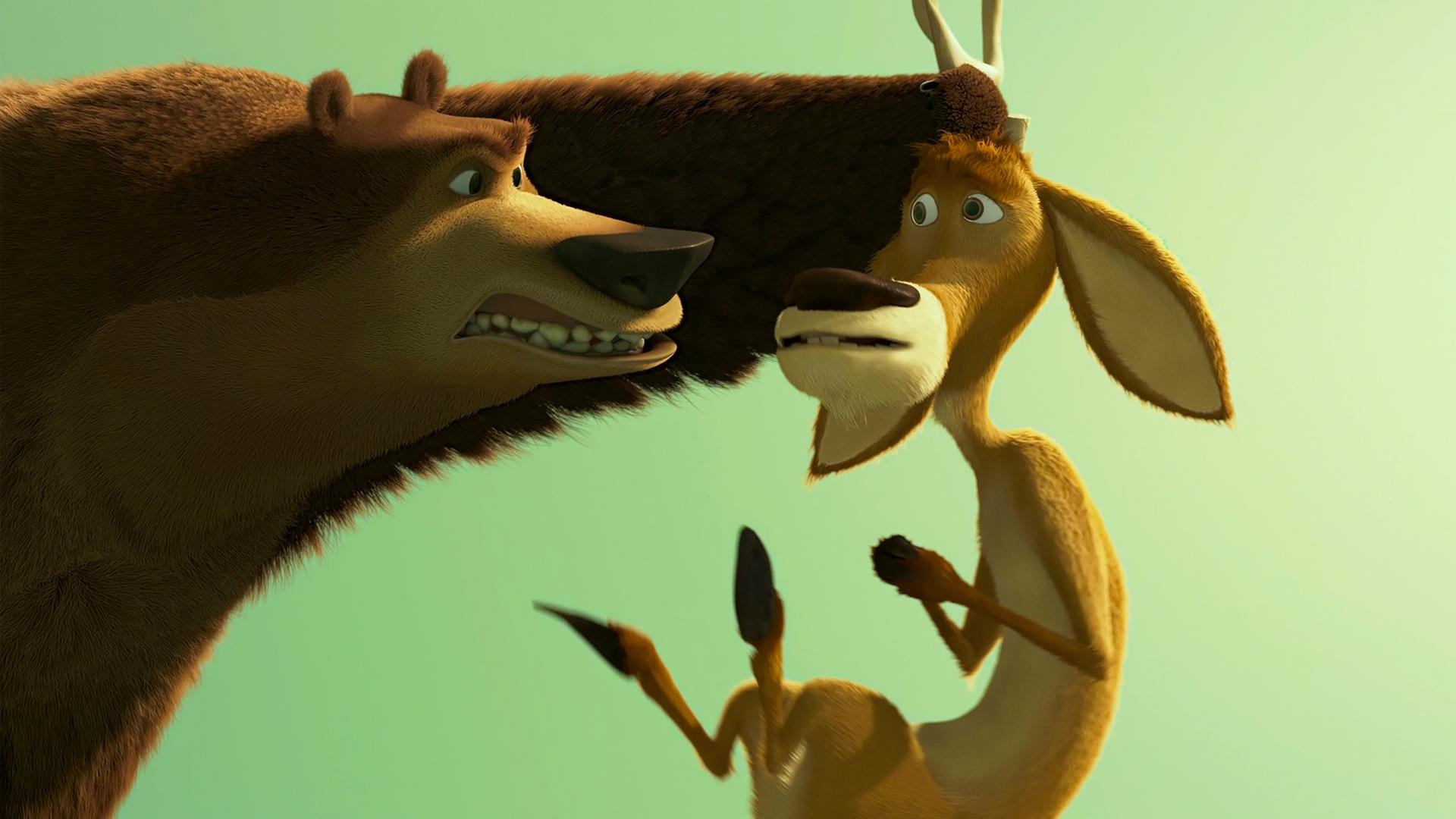 1920x1080 Open Season (2006) HD Wallpaper