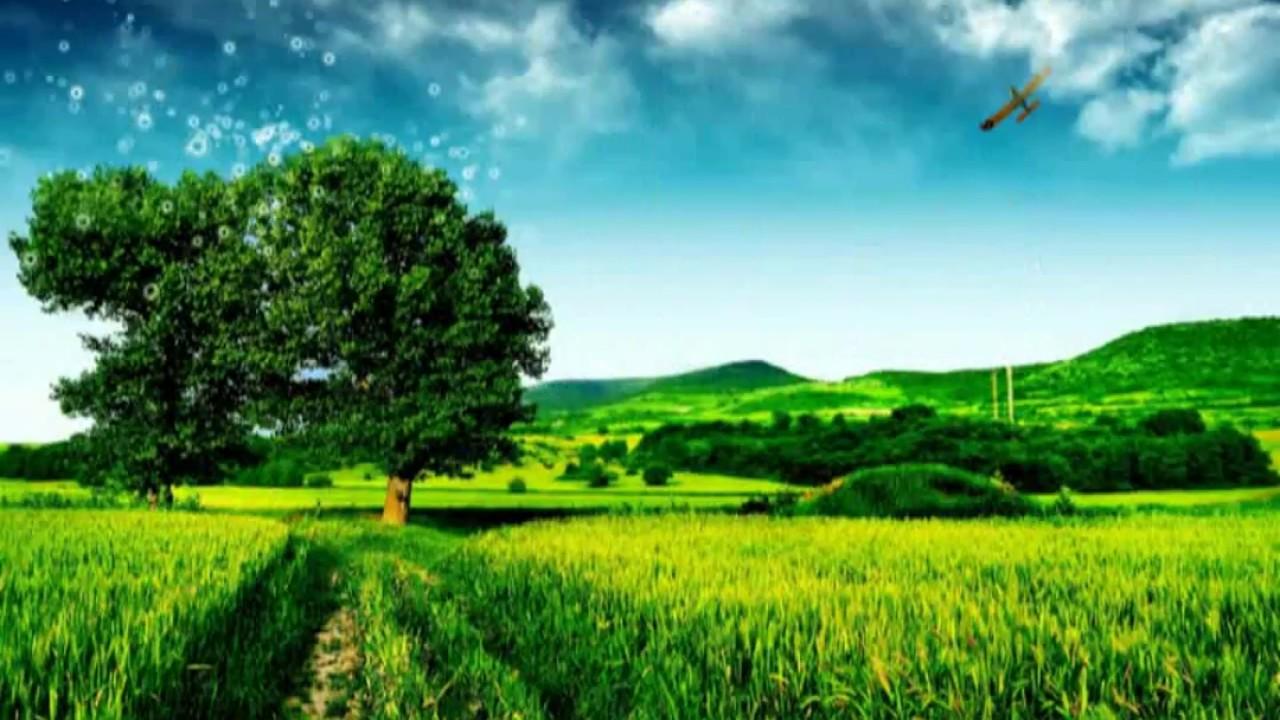 1280x720 Peaceful Scenery Wallpaper Photo