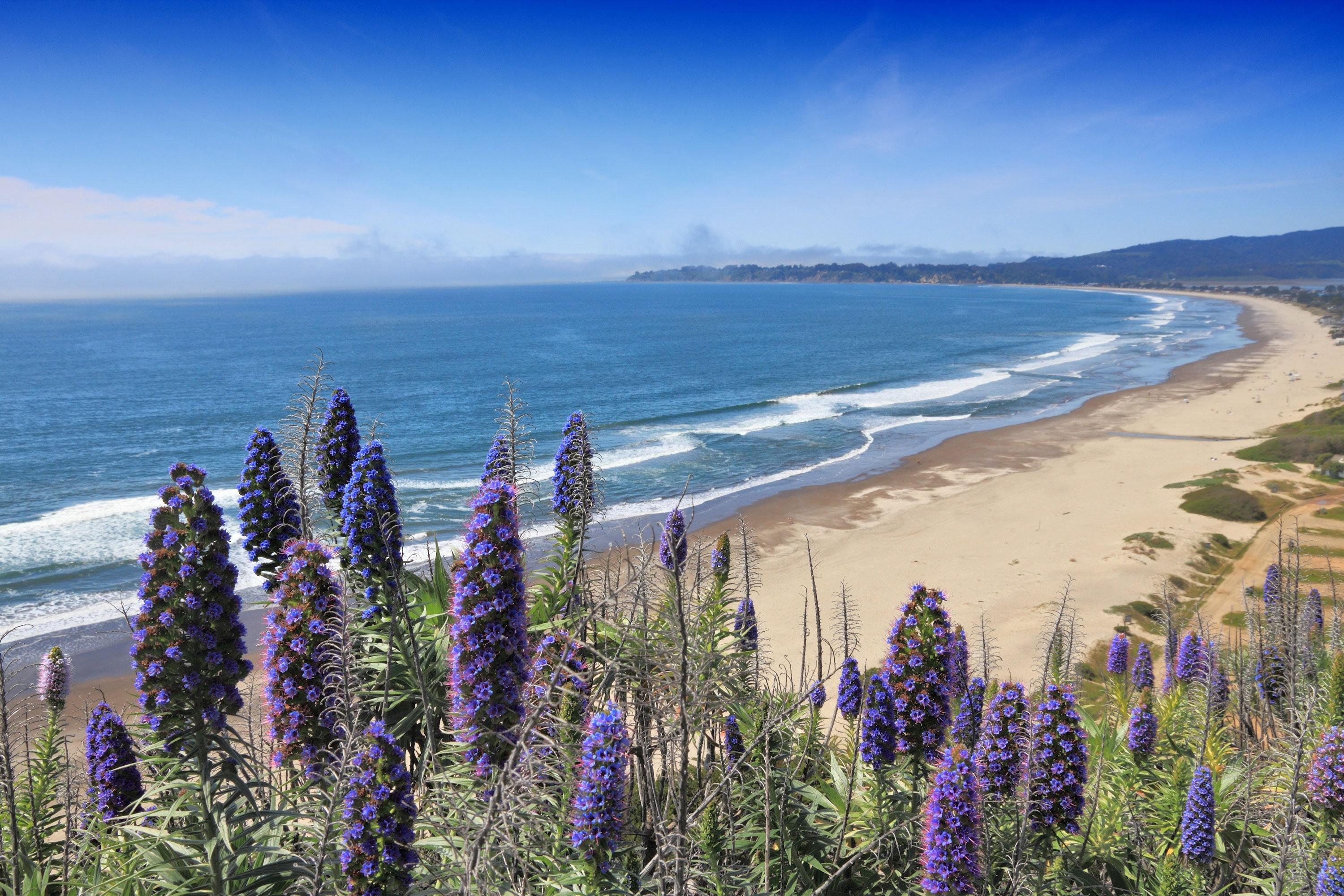 3000x2000 Best Beaches In California, From Surfer Friendly To Cliffside Views. Condé Nast Traveler