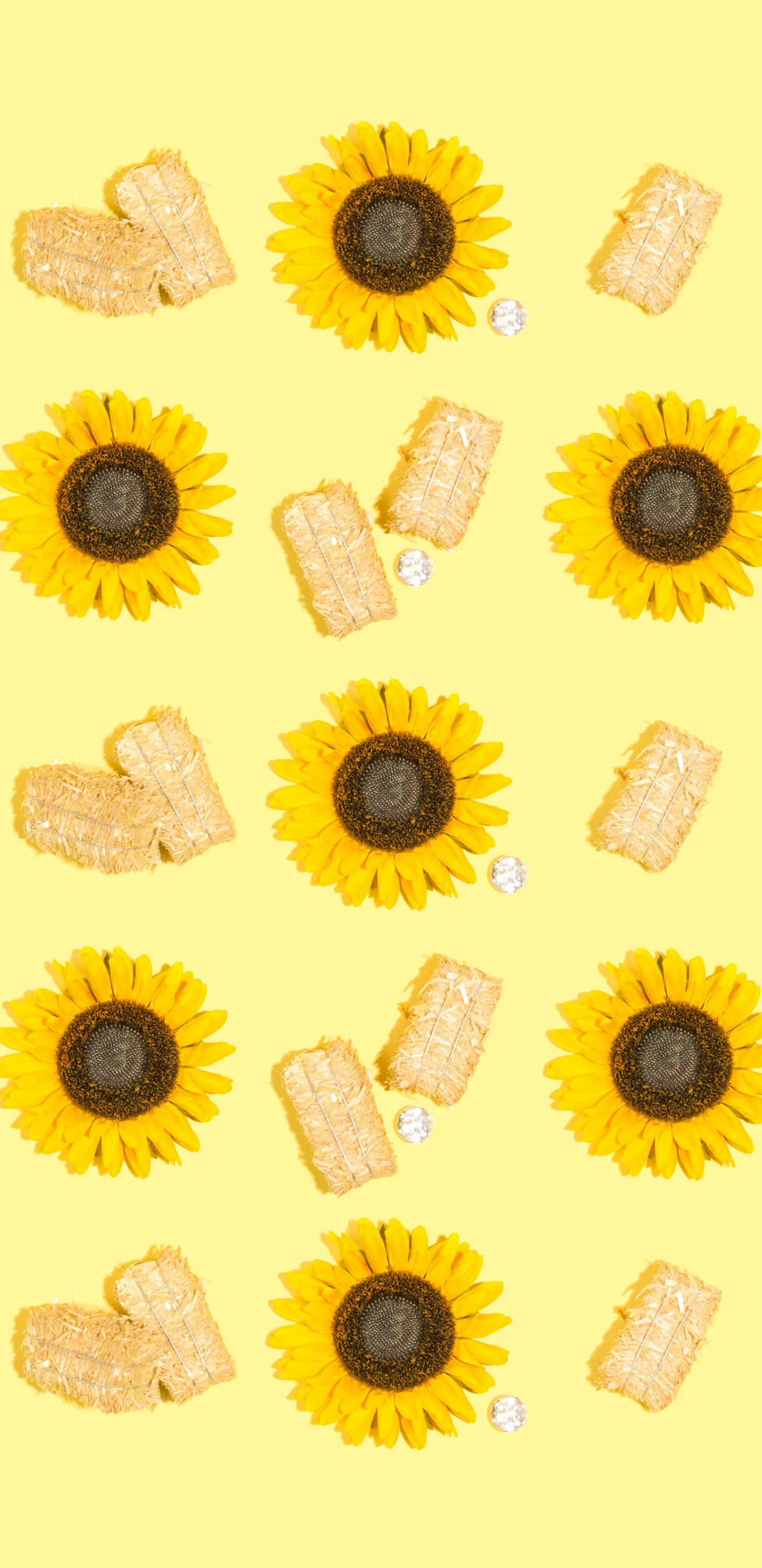1440x2960 Download Sunflower, yellow flowers, arranged wallpaper, 1440x Samsung Galaxy S Samsung Galaxy S8 Plus