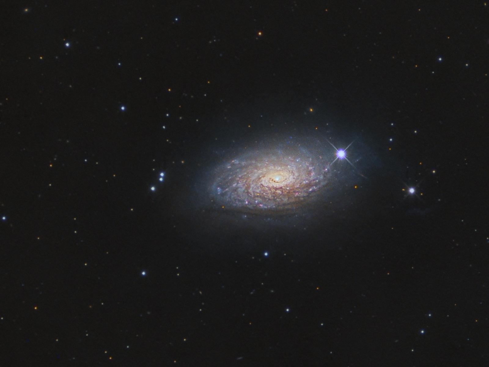 1600x1200 M The Sunflower Galaxy