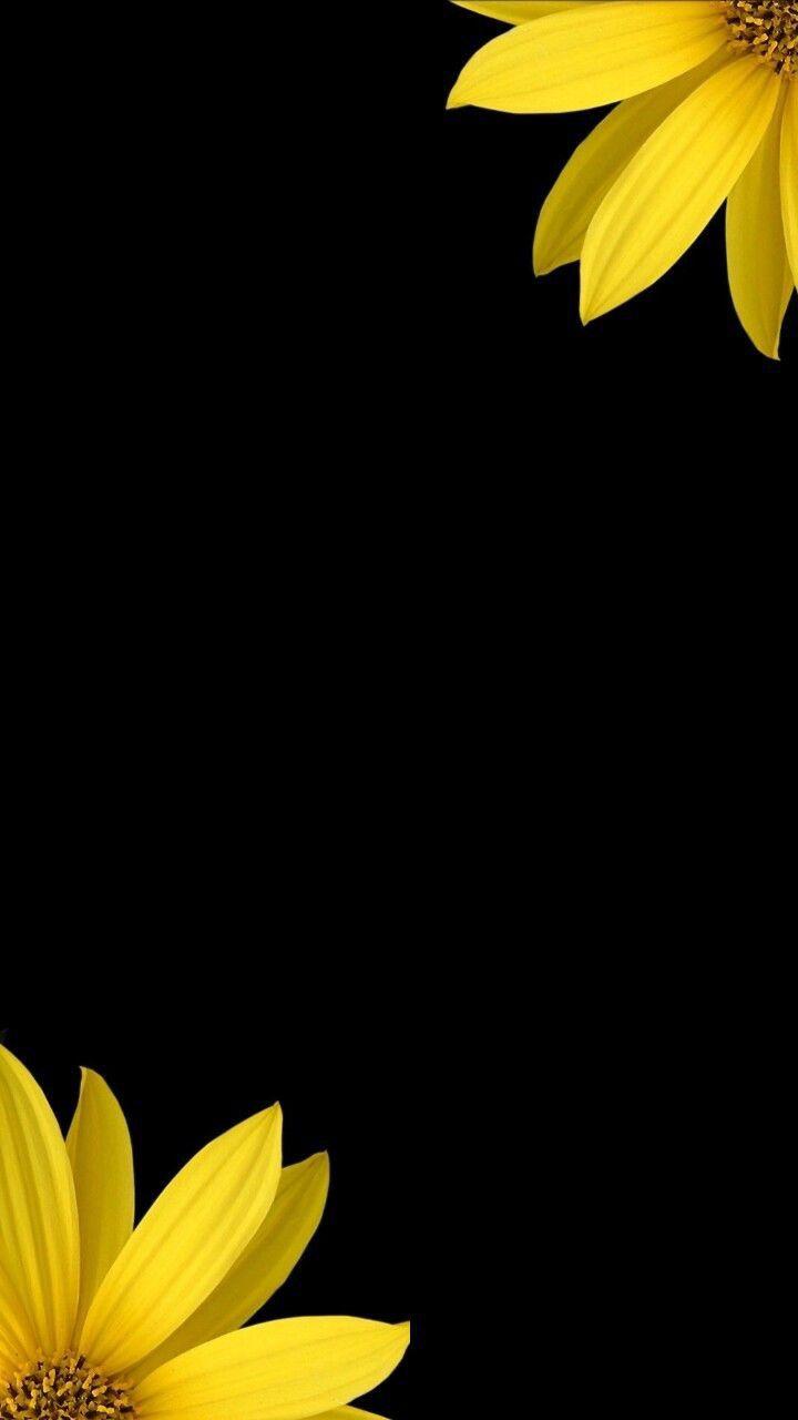720x1280 Black. Theme. Wallpaper. iPhone. Android. Sunflower wallpaper, Flower background, Yellow wallpaper