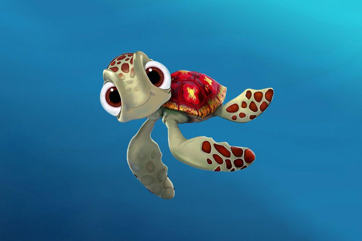 1200x800 Turtle Wallpaper