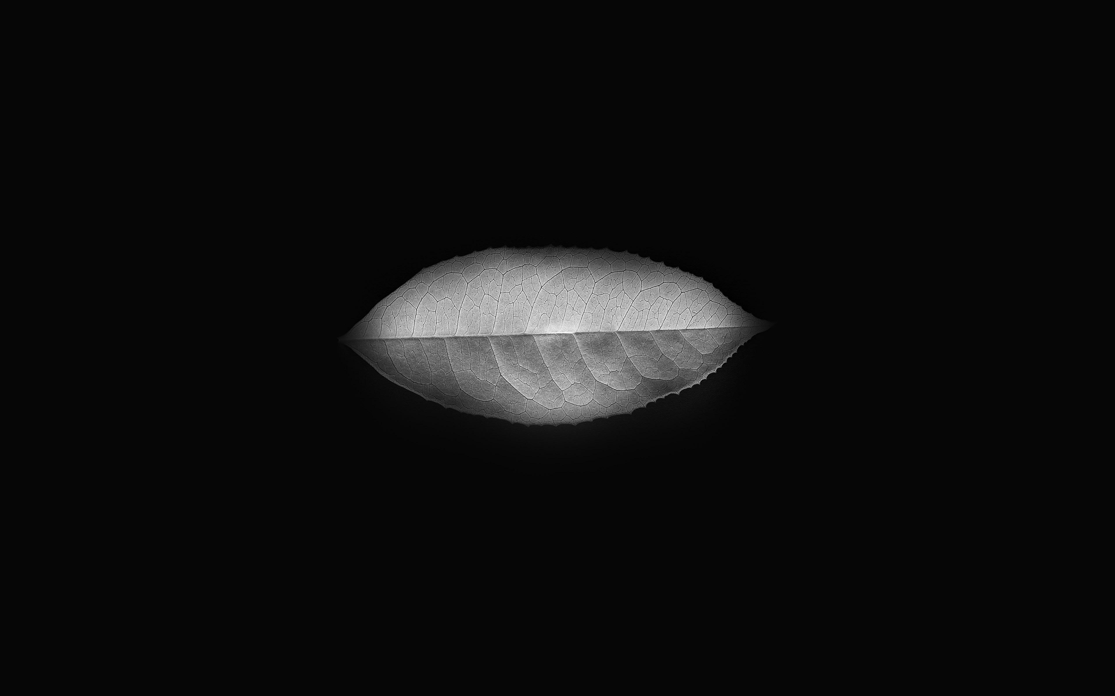 3840x2400 Green Leaf Dark Minimal Nature Art