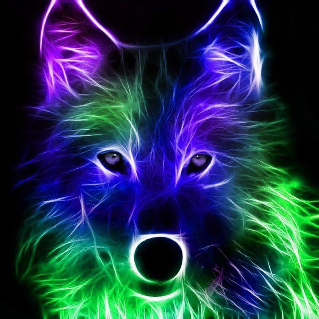 1080x1080 Neon Animals, iPhone, Desktop HD Background / Wallpaper (1080p, 4k) #hdwallpaper #androidwallp. Animal wallpaper, Wolf wallpaper, Pet birds