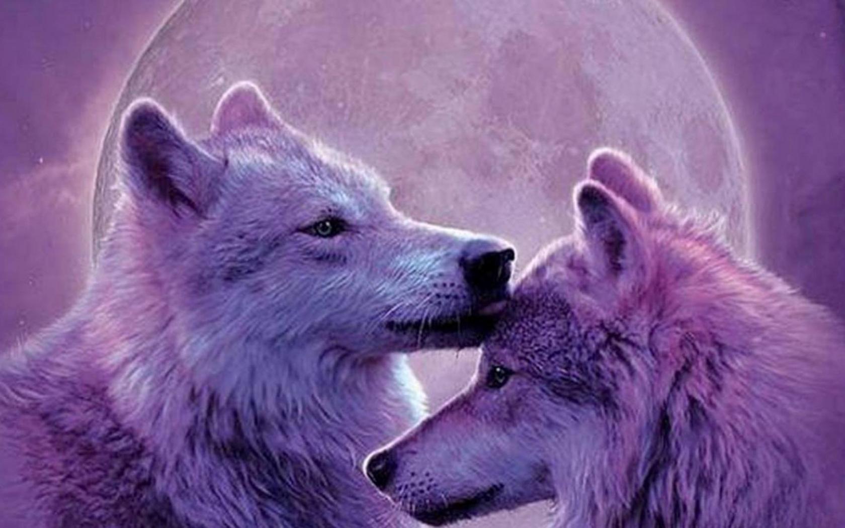 1680x1050 Free download other moonwolves wolves animals painting moon nature wolf 53 [1926x1083] for your Desktop, Mobile & Tablet. Explore Wolf Animal Wallpaper. Wolf Animal Wallpaper, Animal Jam Wallpaper Arctic