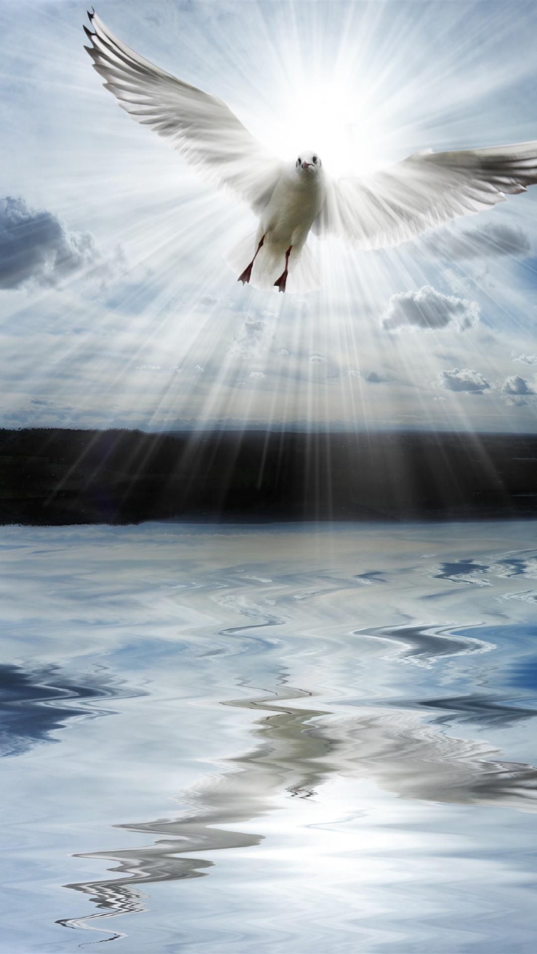 1080x1920 Lake, Clouds, Dove, Sun Rays 1242x2688 IPhone 11 Pro XS Max Wallpaper, Background, Picture, Image