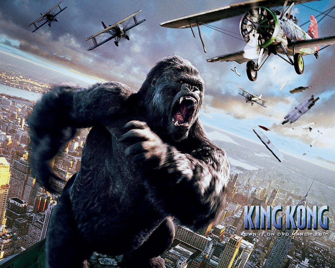 1280x1024 King Kong wallpaper 1280x1024 desktop background
