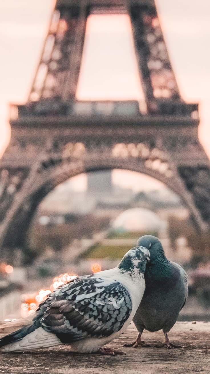 736x1308 Discovering Europe with 17 wanderlust iPhone Wallpaper