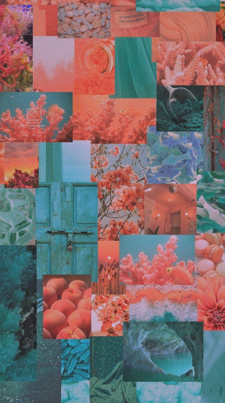 736x1319 Turquoise and coral aesthetic wallpaper. Peach wallpaper, Aesthetic pastel wallpaper, Coral wallpaper