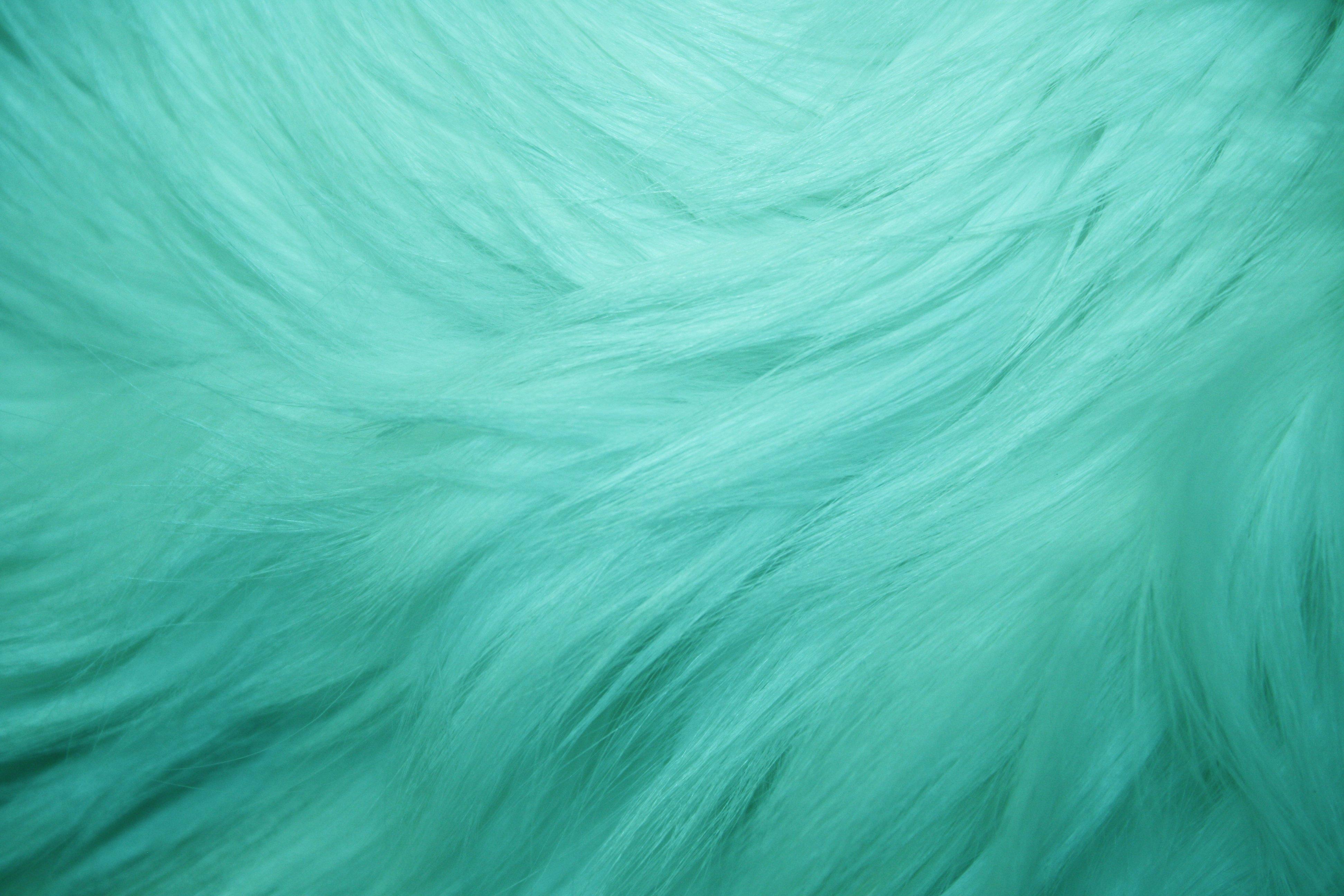 3888x2592 Free download Teal Fur Texture High Resolution Photo Dimensions 3888 [3888x2592] for your Desktop, Mobile & Tablet. Explore Cool Teal Wallpaper. Pretty Teal Wallpaper, Teal Abstract Wallpaper, Cute Teal Wallpaper