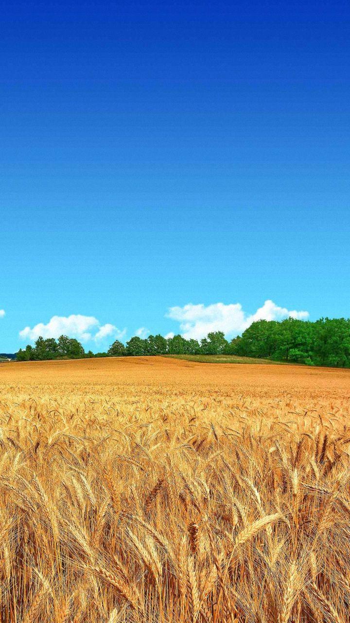 720x1280 X 1280 HD Nature Wallpaper