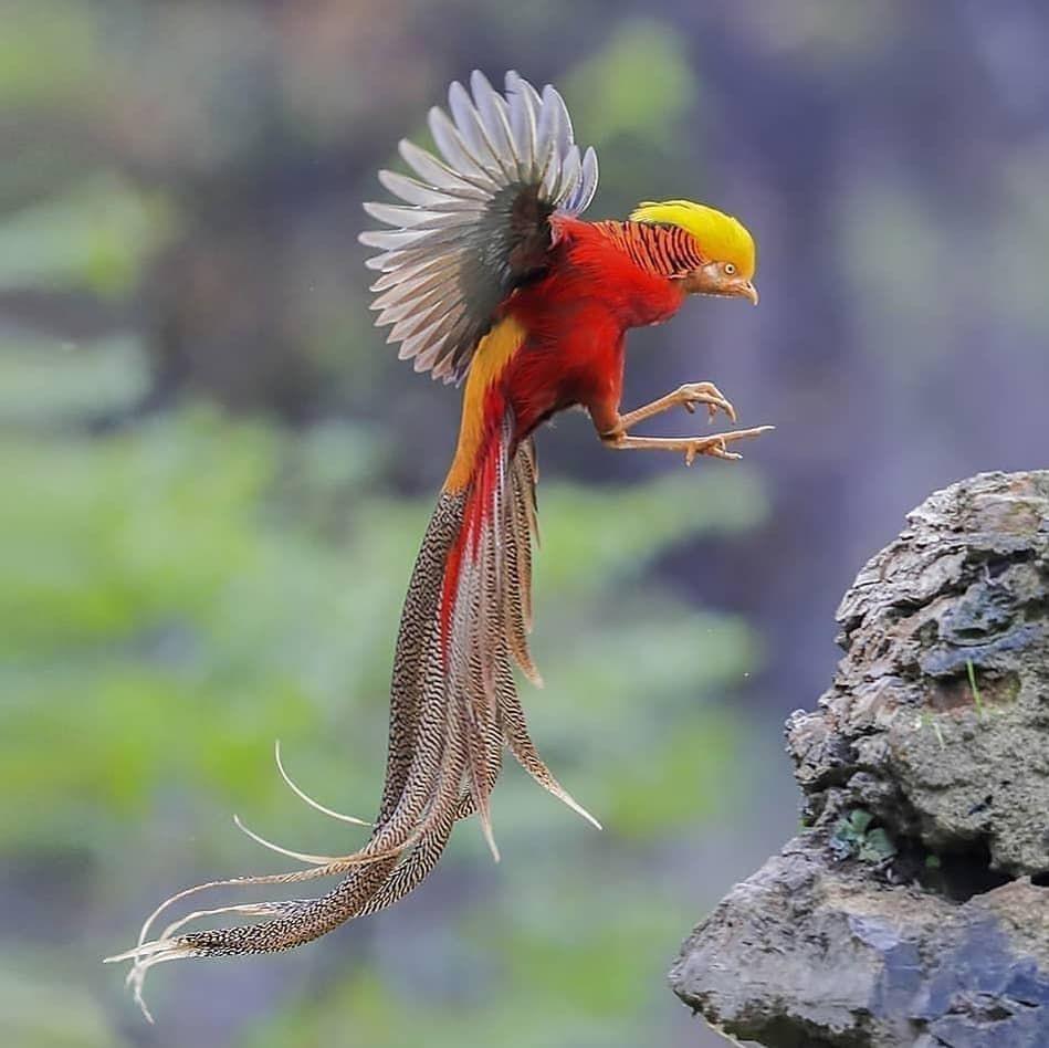 949x948 Beautiful Nature