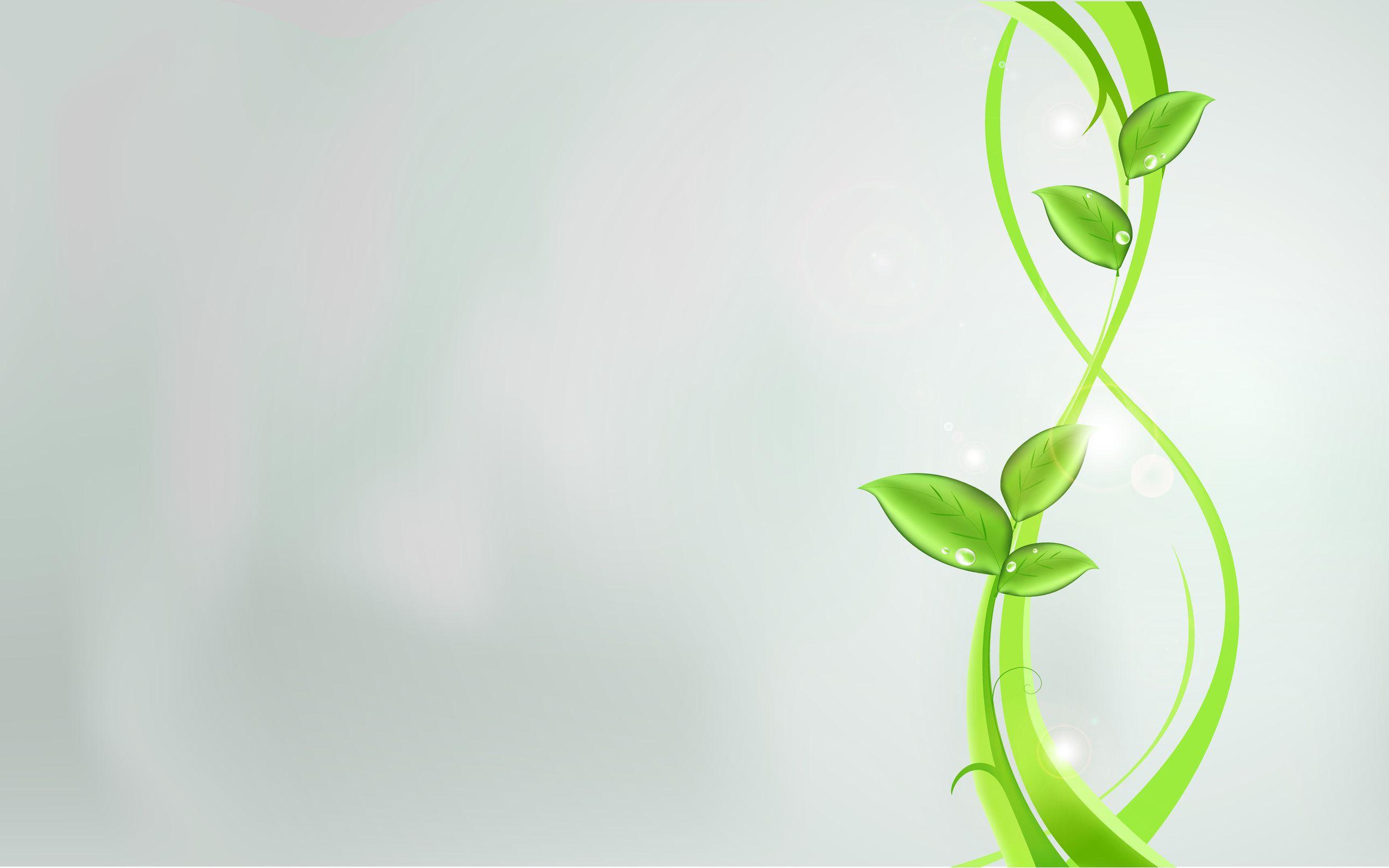 2560x1600 Abstract Eco Green Plant widescreen wallpaper. Wide