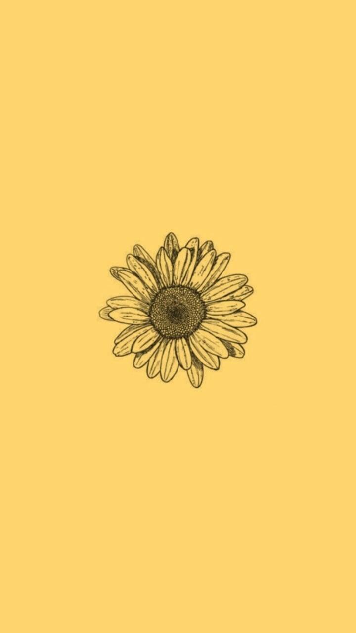 720x1280 Image About Tumblr In Sunflowers By Lucian On We Heart Sunflower Phone Background