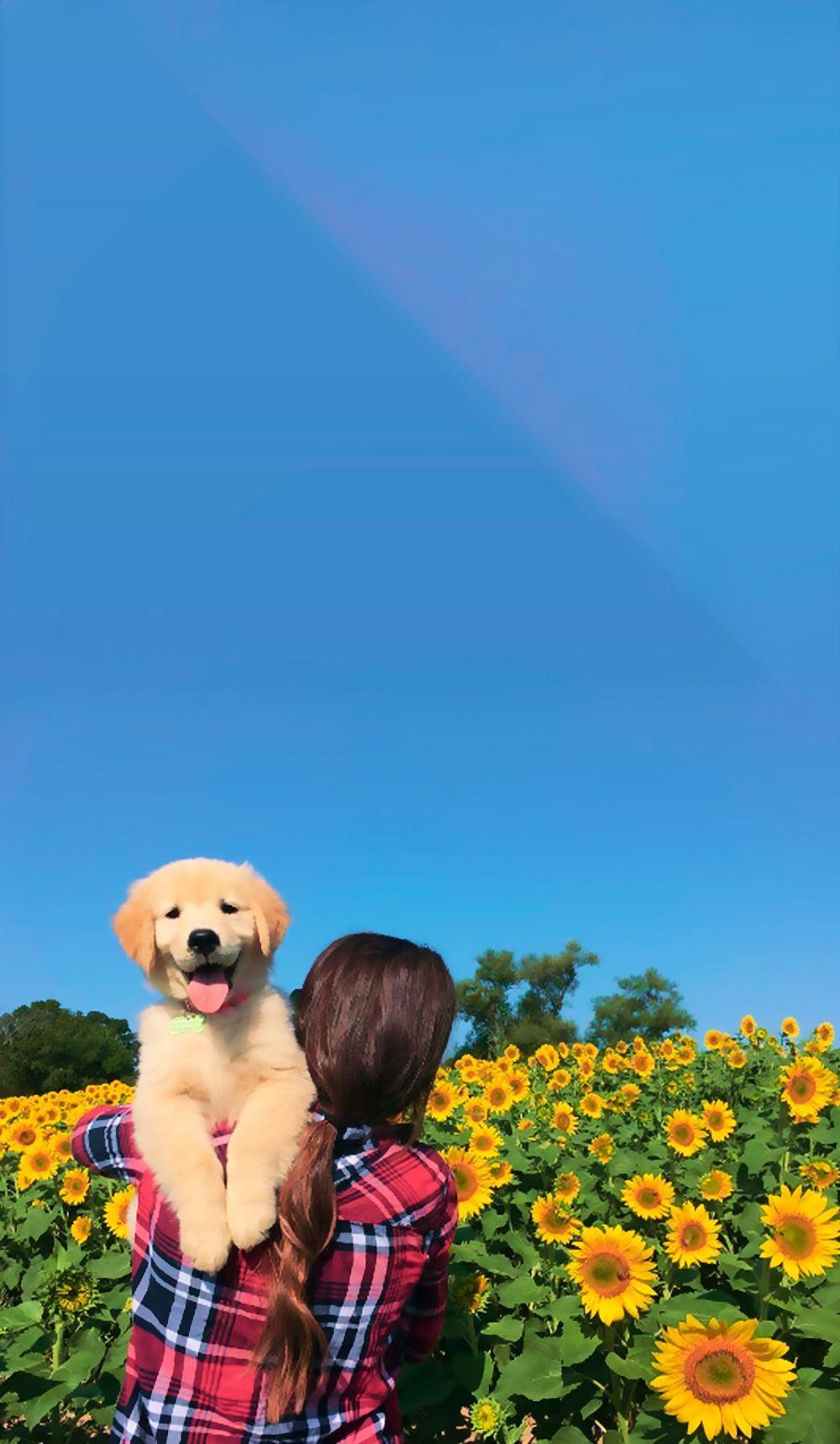 6 cute dog iphone wallpapers for dog lovers Dog love wallpaper for phone