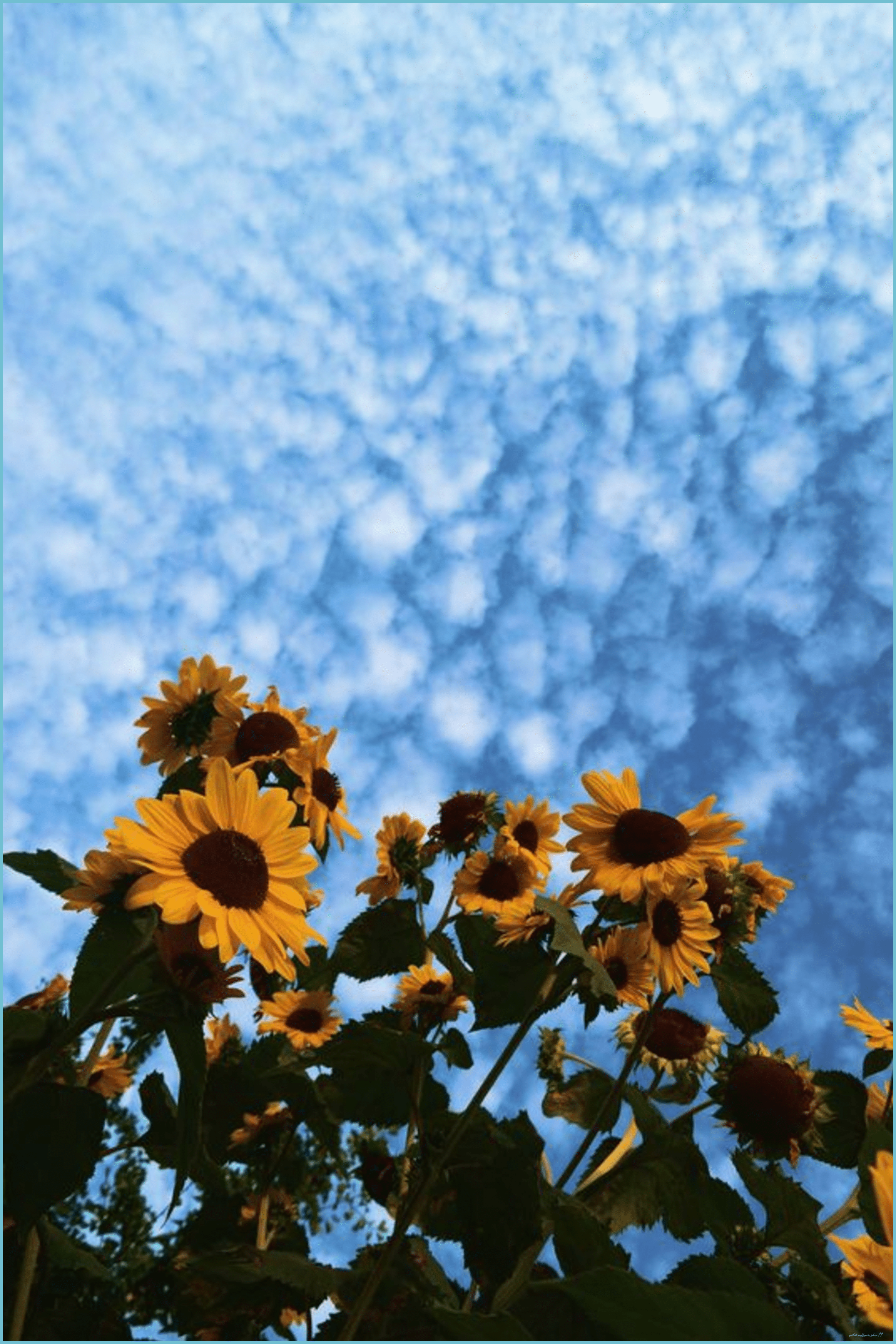 2328x3492 