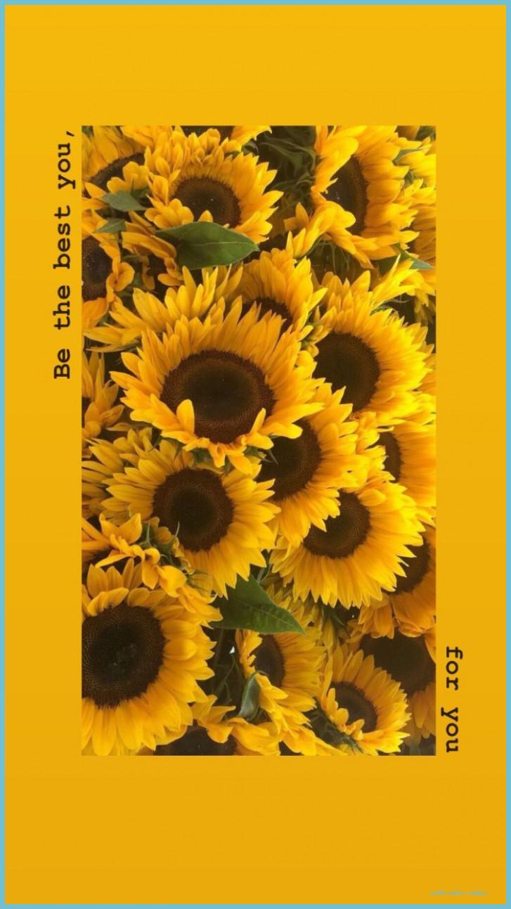 727x1293 Learn The Truth About Aesthetic Sunflower Wallpaper In The Next 9 Seconds. Aesthetic Sunflower Wallpaper