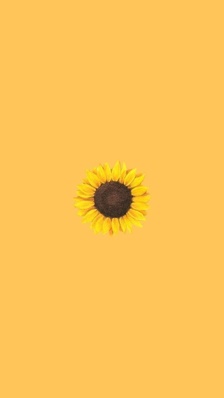 721x1280 Aesthetic Sunflower Picture Wallpaper