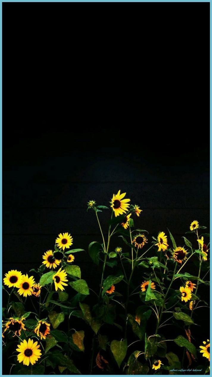 713x1268 Black Sunflower Wallpaper On WallpaperDog Wallpaper Black Background