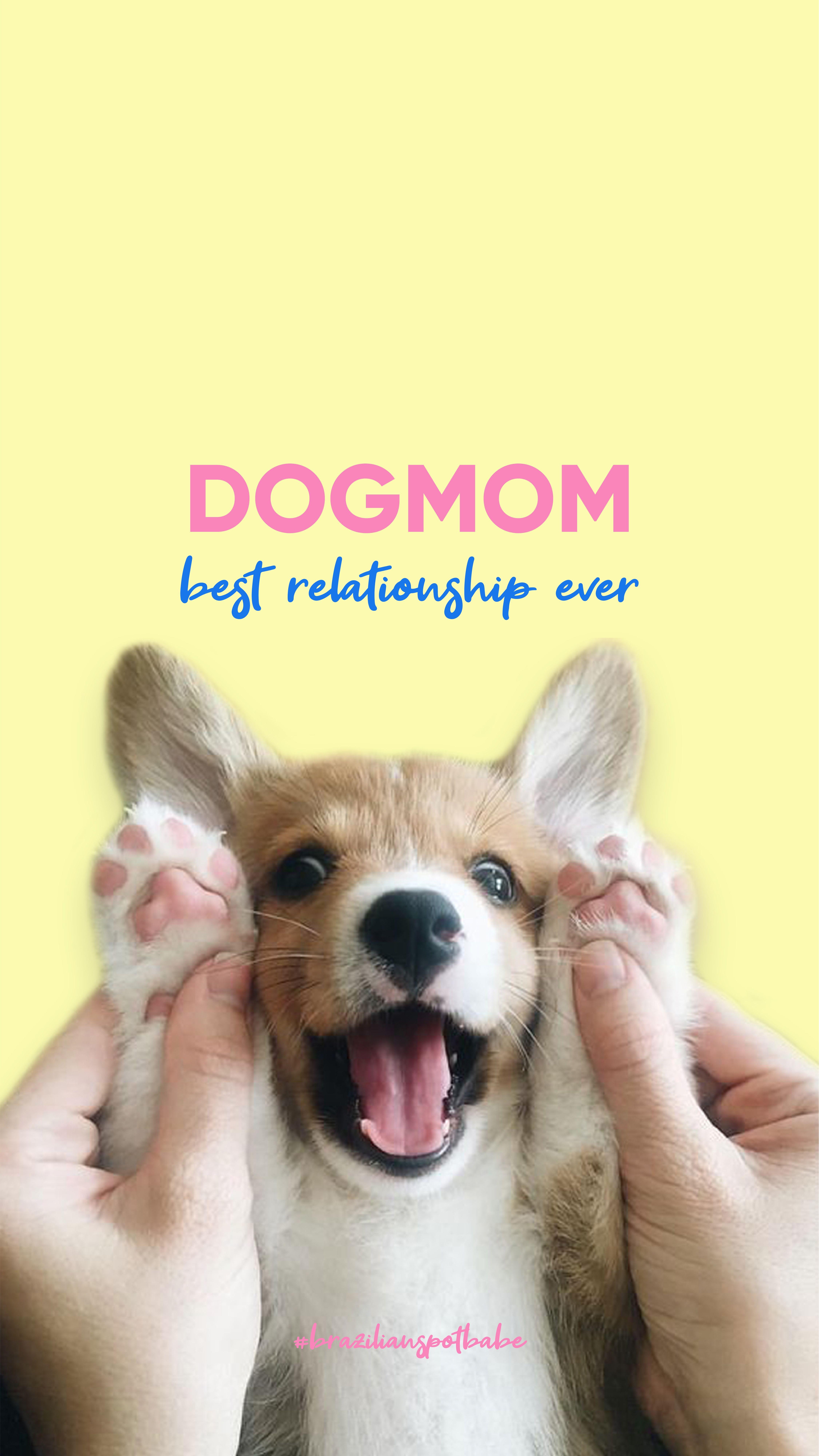 4501x8000 iPhone Wallpaper Dog