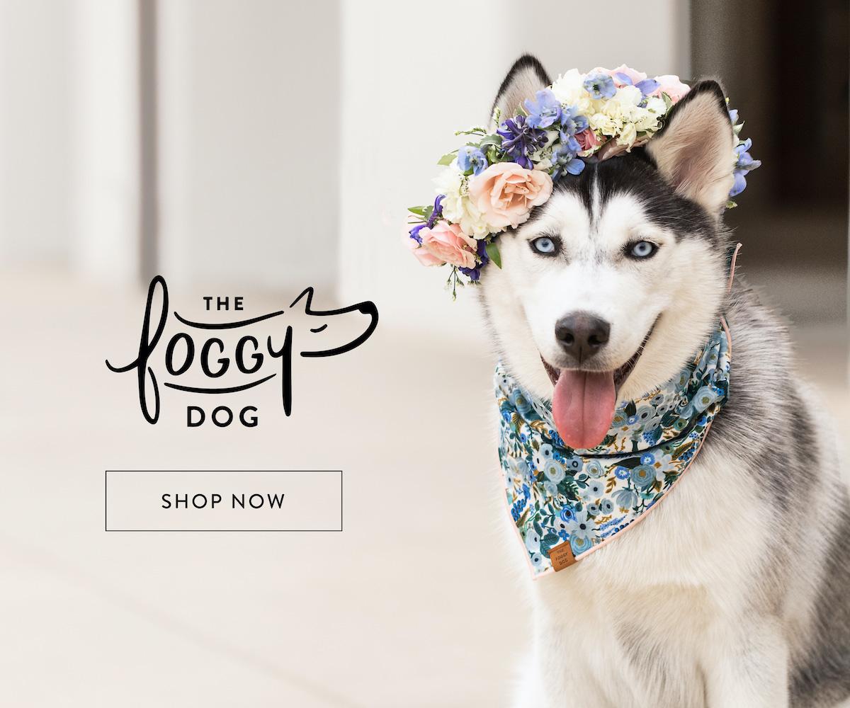 1200x1000 I Don't Follow Rules, I Follow Dogs on Insta Free Dog Desktop Wallpaper