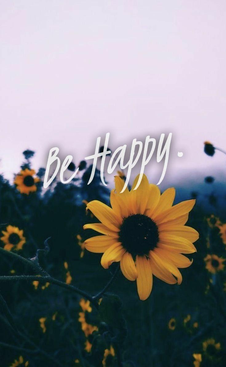 735x1191 iPhone 7 wallpaper photography quotes photography sunflower wallpaper aesthetic iphone