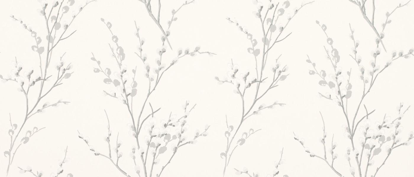 White Plant Wallpapers Top Free White Plant Backgrounds WallpaperAccess