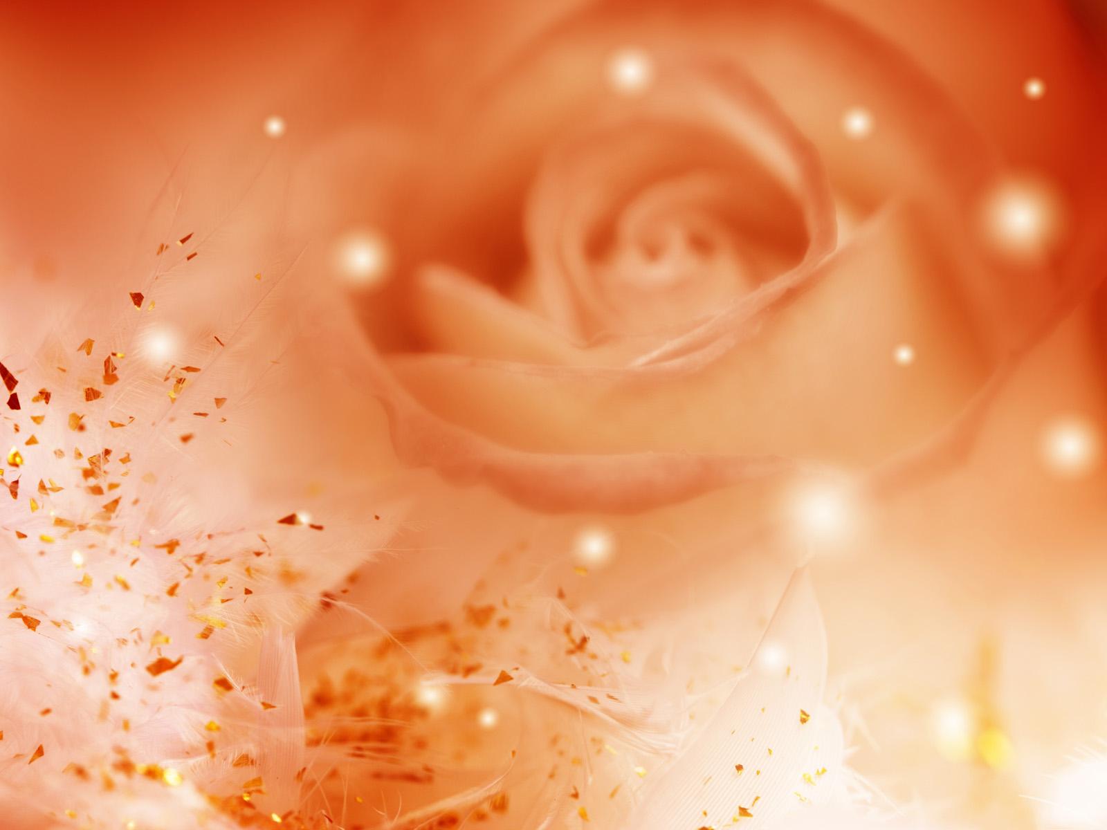 1600x1200 Orange Roses