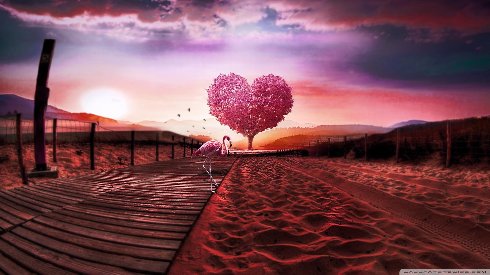 1920x1080 Background Love Heart Ultra HD Desktop Background Wallpaper for 4K UHD TV : Widescreen & UltraWide Desktop & Laptop : Tablet